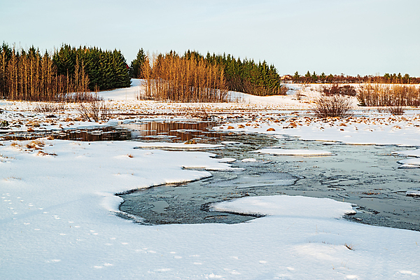 포토 JPG 해외이미지 나무 계절 공원 호수 겨울 자연 하늘 아이슬란드 풍경 사람없음 야외 가로 얼음 일몰 흰색 내추럴 해외포토 자연요소 식물 공공시설 유럽 컬러 노을 생태계 파일형식 이미지허브