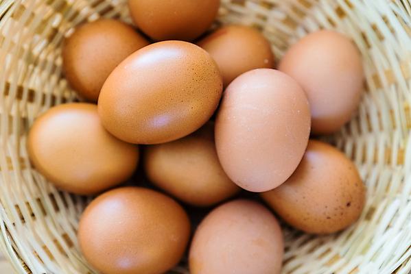 포토 JPG 해외이미지 동물 전통 음식 백그라운드 농업 재료 자연 탁자 휴가 부활절 건강 요리 사람없음 목재 농장 갈색 바구니 마을 주방 계란 치킨 어둠 봄 수확 신선 얼룩 원형 그룹 볏짚 아침식사 준비 유기농 질감 날것 심플 각도 내추럴 단백질 삶기 암탉 해외포토 도형 나무 웰빙 계절 기념일 산업 컬러 가구 알 식사 닭 짚 암컷 생태계 닭고기요리 영양소 파일형식 이미지허브