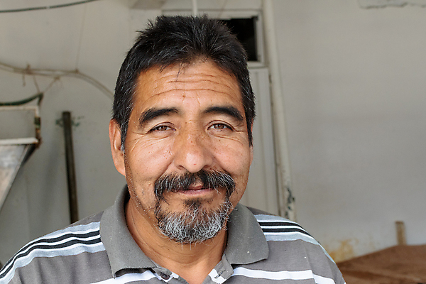 포토 JPG 해외이미지 문화 음식 농업 채소 재료 자연 멕시코 건조 건강 옥수수 씨앗 한명 농작물 노란색 저녁식사 황금 플러그 전기에너지 낟알 시리얼 유기농 질감 알맹이 날것 반죽 팝콘 타코 내추럴 방앗간 고립 영양분 해외포토 식물 1 웰빙 산업 컬러 북아메리카 곡류 사람 식사 에너지 생태계 파일형식 이미지허브