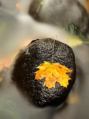 포토 JPG 해외이미지 외관 계절 유럽 파도 잎 오렌지 이끼 풍경 사람없음 야외 파란색 빛 강 달리기 평화 침묵 폭포 젖음 흐름 추위 가을 바위 개울 떨어짐 숲 시원함 내추럴 깨짐 현무암 벨벳 해외포토 식물 나라 바다 컬러 컨셉 과일 모션 자연 소리 돌_바위 실크 화산암 파일형식 이미지허브