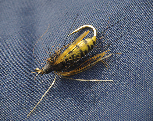 포토 JPG 해외이미지 스포츠 곤충 날개 낚시 어류 취미 사람없음 컬러풀 갈색 노란색 검은색 장비 고리 닫기 말벌 유혹 벌 깃털 오브젝트 낚시꾼 연어 미끼 거짓 송어 인공 해외포토 동물 컬러 컨셉 모션 레저 수중동물 벌_곤충 파일형식 이미지허브