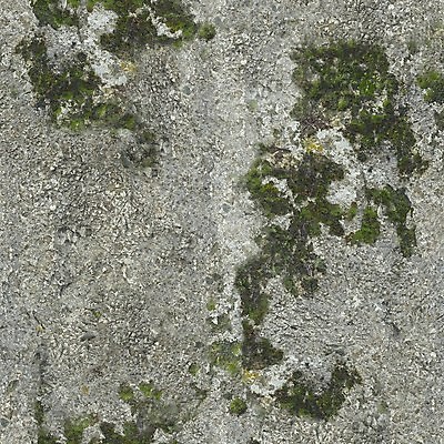 포토 JPG 해외이미지 나무 식물 계절 공원 도로 길 지구 백그라운드 패턴 농업 자국 자연 표면 추상 바닥 건조 사람없음 야외 갈색 노란색 정원 흙 손상 하이킹 가을 나뭇가지 거친 막대기 닫기 숲 묘사 질감 먼지 내추럴 옛날 흙길 해외포토 공공시설 산업 컬러 컨셉 무늬 교통시설 모션 레저 생태계 파일형식 이미지허브