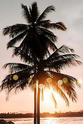 포토 JPG 해외이미지 하늘 해변 사람없음 야외 여름 야자수 햇빛 일몰 여름풍경 야간 빛망울 해외포토 자연요소 나무 계절 바다 풍경 빛 태양 노을 파일형식 여름_계절 이미지허브