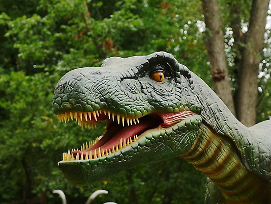 포토 JPG 해외이미지 모델 사람없음 숫자 머리 피규어 입 치아 공룡 흰배경 눈금 육식동물 선사시대 턱 몬스터 정물화 쥬라기 해외포토 동물 문자 백그라운드 파충류 신체부위 미니어처 흰색 소화기관 역사 그림 파일형식 이미지허브