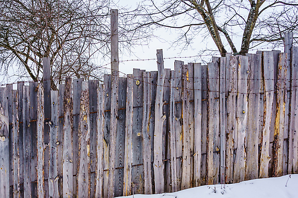 포토 JPG 해외이미지 나무 식물 디자인 선 벽 백그라운드 패턴 표면 날씨 사람없음 야외 목재 장식 가로 세로 울타리 정원 어둠 줄무늬 시골 못 판넬 거친 균열 널 가난 버리기 폐허 질감 다리찢기 내추럴 수목 옛날 해외포토 컨셉 무늬 재료 모션 담장 공구 파일형식 이미지허브