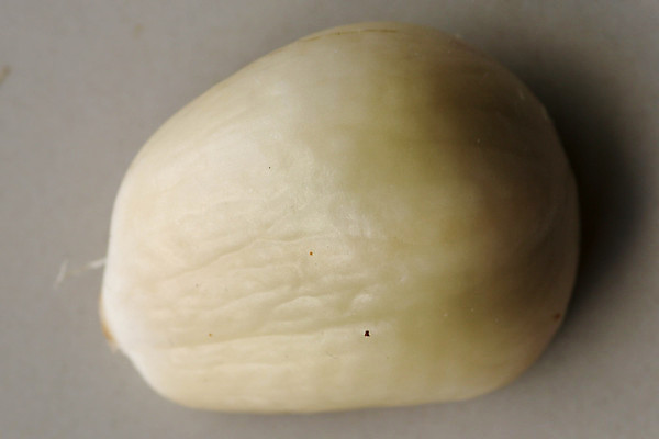 포토 JPG 해외이미지 나무 아시아 야생동물 음식 백그라운드 과일 파충류 자연 조류 건강 사람없음 야외 빨간색 갈색 검은색 흰색 나뭇가지 신선 뱀 위험 작음 피부 깃털 싱글 유기농 부리 육식동물 부엉이 사냥꾼 내추럴 고립 숙성 해외포토 식물 동물 직업 웰빙 나라 컬러 컨셉 신체부위 크기 생태계 파일형식 이미지허브