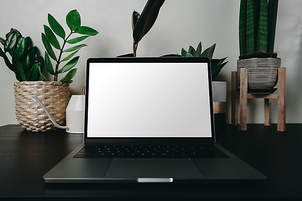 포토 JPG 해외이미지 식물 템플릿 디자인 꽃 화초 백그라운드 비즈니스 탁자 주택 프레임 직장 사람없음 내부 목재 장식 초록색 노트북 컴퓨터 사무실 유행 우주 스크린 모니터 공책 웹 공백 방 업무 작업실 디자이너 심플 거짓 목업 힙스터 카피스페이스 미니멀 해외포토 나무 직업 패션 컬러 가구 인터넷 회사 재료 문구용품 건물 전자제품 작업 파일형식 이미지허브