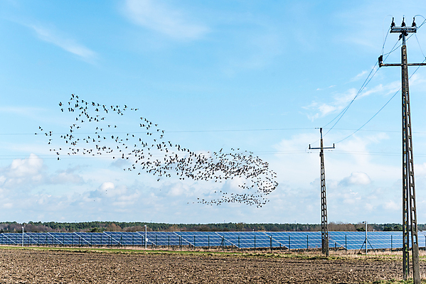 포토 JPG 해외이미지 산업 조류 하늘 표면 세포 사람없음 파란색 햇빛 태양 환경 맑음 힘 재활용 장비 발전기 에너지 판넬 태양에너지 세대 패널 혁명 넘어짐 생태학 많음 획기적 해외포토 자연요소 동물 교육 컬러 컨셉 모션 날씨 발전소 그린에너지 친환경 파일형식 이미지허브