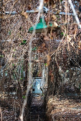 포토 JPG 해외이미지 전신 산업 비즈니스 창문 자연 유리 날씨 주택 실내 사람없음 가로 초록색 컬러풀 금속 손상 에너지 탐험 수확 황폐 신비 버리기 부식 폐허 원예 복고 구식 깨짐 밭일 옛날 온실 해외포토 컬러 컨셉 농업 모션 재질 취미 내부 건물 생태계 파일형식 이미지허브