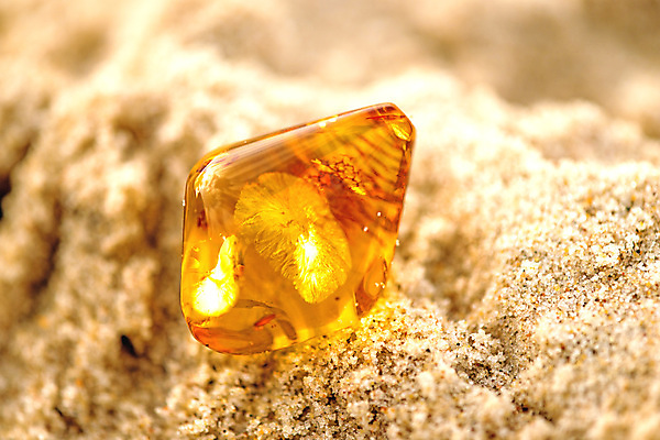 포토 JPG 해외이미지 자연 사람없음 빛 주황색 투명 보석 화석 앰버 해외포토 컬러 광석 생태계 파일형식 이미지허브