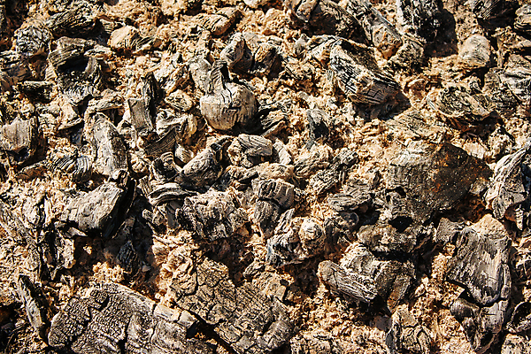 포토 JPG 해외이미지 디자인 외관 백그라운드 패턴 벽지 표면 날씨 추상 사람없음 목재 장식 검은색 어둠 손상 얼룩 뜨거움 거친 균열 낟알 장작 피부 묘사 질감 숯 내추럴 그런지 석탄 썩음 재 화상 해외포토 나무 컬러 컨셉 무늬 재료 모션 신체부위 상처 파일형식 이미지허브