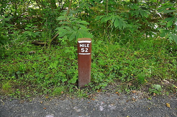 포토 JPG 해외이미지 식물 잎 자연 표시 사람없음 야외 초록색 숫자 사인 해외포토 문자 컬러 생태계 파일형식 이미지허브