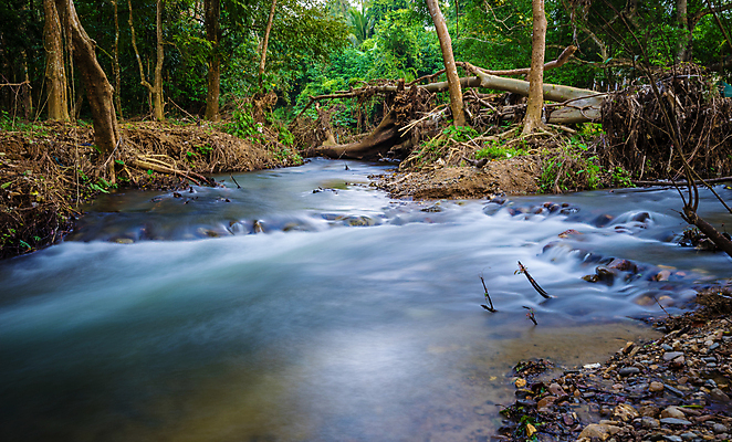 포토 JPG 해외이미지 나무 라이프스타일 계절 공원 아시아 여행 백그라운드 자연 산 풍경 사람없음 야외 초록색 물 여름 강 환경 봄 폭포 흐름 추위 바위 개울 숲 작음 암초 내추럴 해외포토 자연요소 식물 공공시설 나라 컬러 컨셉 생활 돌_바위 크기 생태계 파일형식 이미지허브
