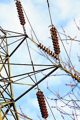 포토 JPG 해외이미지 선 하늘 사람없음 파란색 환경 금속 힘 장비 에너지 전선 네트워크 위험 라디오 머리위 전염 철사 볼트 철탑 지휘자 공학 변압기 분배 전압 철강 힘찬 생존 공급 해외포토 교육 컬러 컨셉 재질 전자제품 탑 음악가 공구 질병 감염 파일형식 이미지허브