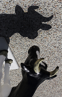 포토 JPG 해외이미지 동물 응시 야생동물 음식 스포츠 백그라운드 컨셉 포유류 육류 그림자 사람없음 농장 머리 우주 검은색 소고기 우유 흰색 소 영혼 질병 황소 고립 해외포토 시선 컬러 농업 식재료 의학 유제품 신체부위 파일형식 이미지허브