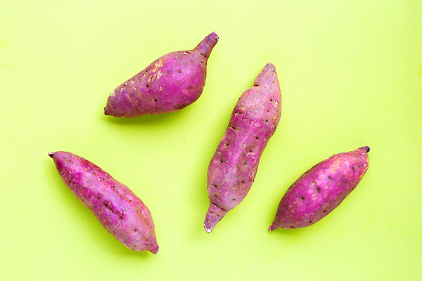 포토 JPG 해외이미지 실내 사람없음 여러개 고구마 초록배경 해외포토 다수 백그라운드 뿌리채소 내부 초록색 파일형식 이미지허브