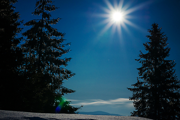 포토 JPG 해외이미지 나무 계절 별 과학 백그라운드 겨울 자연 하늘 스키 불꽃 휴식 산 풍경 사람없음 야외 파란색 빛 태양 우주 일출 환경 어둠 꿈 야간 숲 달빛 언덕 코스모스 서리 은하계 장면 점성술 공상 마법 전나무 별빛 깊이 해외포토 자연요소 식물 꽃 컬러 컨셉 불 겨울스포츠 노을 달 생태계 파일형식 이미지허브
