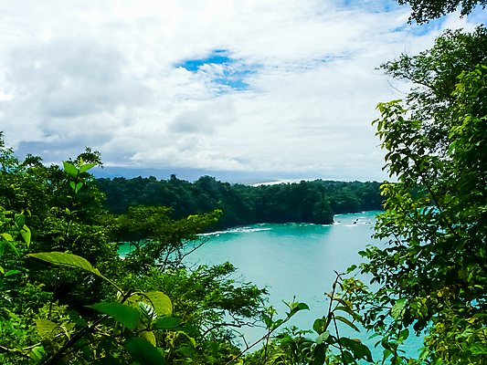 포토 JPG 해외이미지 나무 공원 야생동물 모래 바다 여행 포유류 자연 하늘 휴가 휴식 파노라마 손바닥 풍경 사람없음 야외 물 여름 파란색 미국 원숭이 중앙아메리카 숲 열대우림 태평양 이국적 전국 코스타리카 터키석 파라다이스 해외포토 자연요소 식물 동물 손 계절 공공시설 컬러 컨셉 북아메리카 촬영기법 아메리카 보석 생태계 파일형식 이미지허브