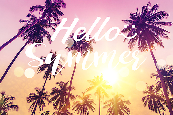 포토 JPG 해외이미지 손글씨 하늘 타이포그라피 사람없음 빛 야자수 빛망울 레터링 해외포토 나무 문자 파일형식 이미지허브