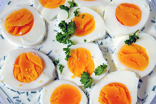 포토 JPG 해외이미지 접시 음식 재료 자연 파슬리 건강 요리 사람없음 초록색 여름 노란색 식당 계란 식사 저녁식사 샐러드 흰색 신선 아침식사 상추 먹기 유기농 노른자 내추럴 점심식사 단백질 딜 뷔페 삶기 해외포토 식기 웰빙 계절 컬러 채소 모션 상점 알 생태계 영양소 파일형식 이미지허브