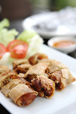 포토 JPG 해외이미지 접시 토마토 실내 사람없음 아웃포커스 중식 자르기 양배추 춘권 해외포토 식기 음식 채소 모션 촬영기법 내부 파일형식 이미지허브