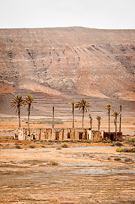 포토 JPG 해외이미지 여행 오렌지 중동 아프리카 건조 손바닥 풍경 사람없음 야외 여름 맑음 흙 사막 뜨거움 거친 부식 해외포토 손 계절 나라 과일 날씨 파일형식 이미지허브