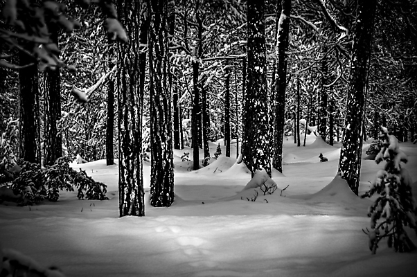포토 JPG 해외이미지 구름 여행 백그라운드 자연 벽지 하늘 휴가 산 풍경 사람없음 여름 파란색 얼음 프랑스 바위 고도 빙하 양배추 알프스 내추럴 절정 해외포토 자연요소 계절 유럽 컬러 채소 돌_바위 생태계 파일형식 이미지허브