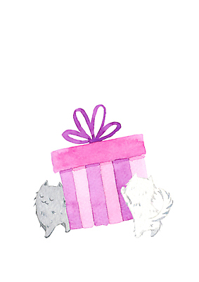 JPG 해외이미지 두마리 일러스트 수채화 들기 사람없음 선물상자 고양이 그림 해외일러스트 2 포유류 모션 선물 반려동물 상자 파일형식 이미지허브