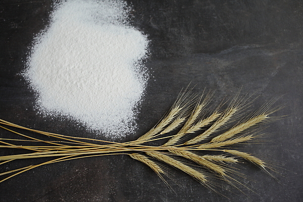 포토 JPG 해외이미지 식물 음식 빵 줄기 조각 백그라운드 농업 탁자 건강 옥수수 요리 씨앗 사람없음 농작물 우주 주방 빵집 회색 수확 흰색 시골 아침식사 낟알 시리얼 밀 다발 보따리 유기농 보리 귀 밀가루 밀짚 내추럴 숙성 제빵사 채식주의자 콘크리트 호밀 카피스페이스 귀리 해외포토 직업 웰빙 산업 컬러 가구 곡류 신체부위 상점 식사 공백 짚 가루 채식 파일형식 이미지허브