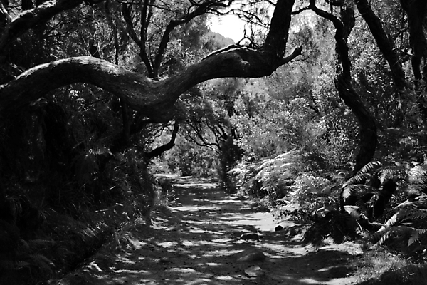 포토 JPG 해외이미지 나무 식물 공원 길 여행 백그라운드 자국 자연 하늘 산 풍경 사람없음 야외 목재 물 여름 여행객 검은색 어둠 봄 수확 바위 흰색 숲 포르투갈 암초 내추럴 방법 옛날 해외포토 자연요소 계절 공공시설 유럽 컬러 농업 재료 사람 돌_바위 생태계 파일형식 이미지허브