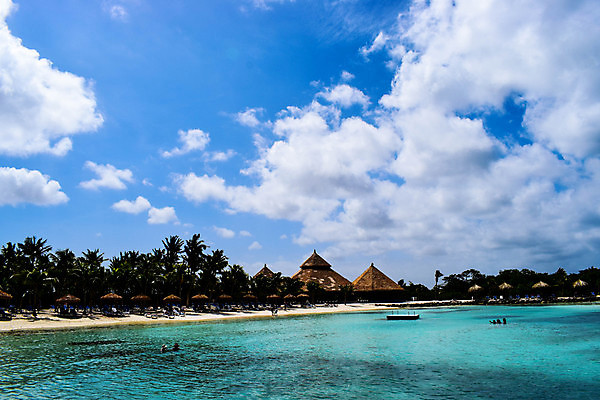 포토 JPG 해외이미지 나무 모래 바다 섬 여행 자연 하늘 휴가 손바닥 풍경 사람없음 야외 물 여름 파란색 야자수 맑음 흰색 휴양지 코코넛 카리브해 이국적 파라다이스 수평선 해외포토 자연요소 식물 손 계절 컬러 과일 날씨 장소 생태계 파일형식 이미지허브