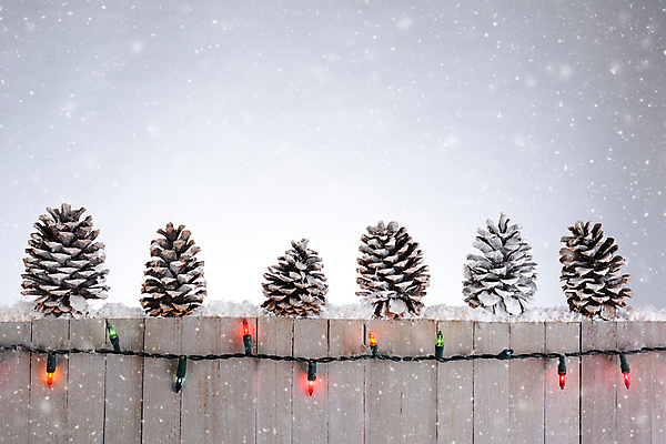 포토 JPG 해외이미지 계절 조각 크리스마스 겨울 휴가 전등 사람없음 목재 장식 가로 빛 울타리 추위 흰색 시골 12월 솔방울 카피스페이스 해외포토 나무 기념일 컬러 재료 조명 담장 공백 날짜 파일형식 이미지허브