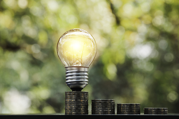 포토 JPG 해외이미지 나무 식물 디자인 백그라운드 컨셉 돈 비즈니스 전구 자연 유리 성공 아이디어 창조 사람없음 금융 경제 빛 사무실 쌓기 동전 힘 장비 에너지 성장 흰색 램프 시장 재산 황금 주식 투자 회계 혁명 광 해외포토 컬러 모션 재질 조명 생태계 파일형식 이미지허브