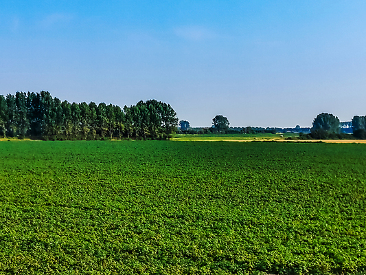 포토 JPG 해외이미지 계절 유럽 여행 백그라운드 밭 농업 자연 하늘 풍경 사람없음 야외 초록색 여름 파란색 농장 농경지 활발 시골 황무지 성자 숲 땅 네덜란드 장면 지역 강렬 삼림지대 평야 해외포토 나라 산업 종교 컬러 컨셉 생태계 파일형식 이미지허브