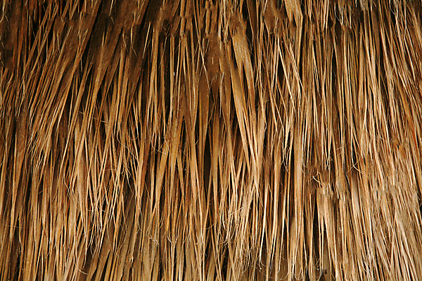 포토 JPG 해외이미지 나무 전통 디자인 벽 백그라운드 잎 패턴 건축양식 태국 자연 지팡이 표면 지붕 추상 주택 건조 사람없음 장식 울타리 갈색 노란색 우주 중국 수확 시골 막대기 볏짚 오두막 묶기 묘사 시골집 질감 지역 밀짚 부족 내추럴 옛날 해외포토 식물 건축 아시아 컬러 컨셉 무늬 농업 모션 건물 담장 짚 생태계 파일형식 이미지허브