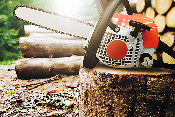 포토 JPG 해외이미지 나무 직업 산업 포즈 자연 노동자 안전 사람없음 야외 목재 태양 쌓기 힘 기계 장비 공구 업무 칼날 숲 위험 장작 자르기 서비스 통나무 날카로움 잡동사니 모터 다듬기 벌목 수목 전기톱 톱밥 톱질 해외포토 자연요소 식물 컨셉 재료 모션 도구 작업 가루 생태계 톱 파일형식 이미지허브