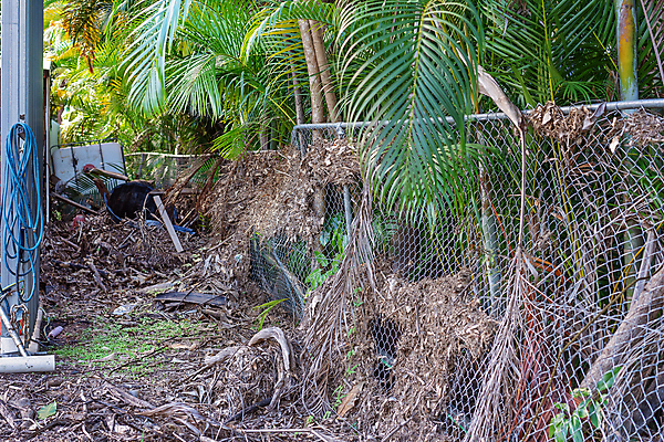 포토 JPG 해외이미지 나무 잎 가정 날씨 주택 건조 손바닥 사람없음 야외 초록색 물 울타리 글로벌 쌓기 환경 금속 손상 젖음 죽음 도시 변화 재산 수리 쓰레기 파편 홍수 냄새 타운 망사 낭비 깨짐 재앙 적자 해외포토 자연요소 식물 손 컬러 컨셉 모션 재질 건물 금융 담장 직물 자연재해 파일형식 이미지허브