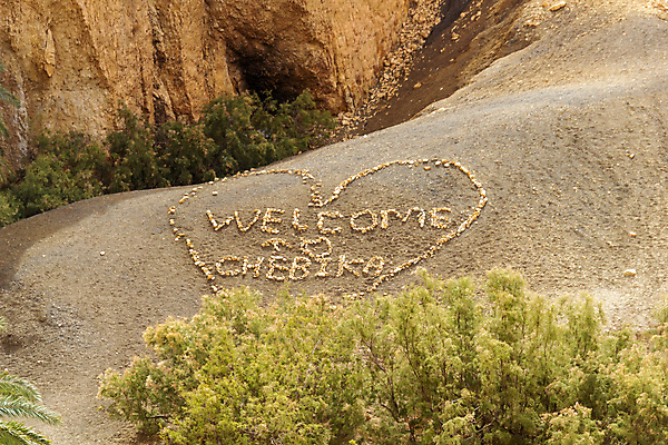 포토 JPG 해외이미지 나무 디자인 문장 모래 여행 백그라운드 텍스트 아프리카 자연 산 사람없음 야외 환경 사막 하트 편지 언덕 환영 내추럴 오아시스 튀니지 해외포토 모양 식물 문자 나라 생태계 파일형식 이미지허브