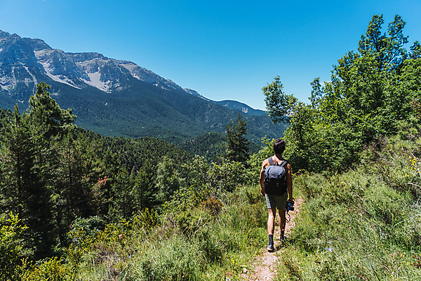 포토 JPG 해외이미지 나무 1 공원 길 여행 자연 하늘 바람 산 풍경 사람없음 야외 초록색 햇빛 평화 카메라 힘 침묵 산책 손상 하이킹 죽음 숲 오솔길 모험가 사진사 폭풍 탐사 전국 하이커 혼자 해외포토 자연요소 식물 공공시설 컬러 컨셉 레저 날씨 휴식 전자제품 태양 소리 작가 생태계 파일형식 이미지허브