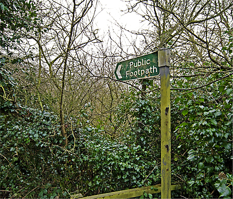 포토 JPG 해외이미지 나무 길 여행 자연 사람없음 산책 시골 오솔길 사인 일반 해외포토 식물 휴식 생태계 파일형식 이미지허브