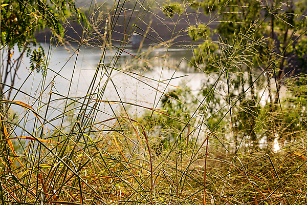 포토 JPG 해외이미지 나무 계절 벽 백그라운드 잎 아침 산 거리 파노라마 풍경 사람없음 야외 초록색 물 여름 빛 햇빛 태양 평화 일출 골짜기 맑음 새벽 안개 흰색 시골 뜨거움 황금 호주 댐 속도 문학 부드러움 광 오지 수평선 해외포토 주간 자연요소 식물 공공시설 컬러 컨셉 자연 날씨 촬영기법 노을 감각 오세아니아 파일형식 이미지허브