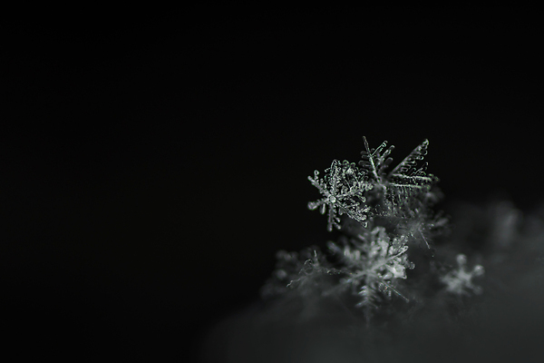 포토 JPG 해외이미지 옷 계절 행복 백그라운드 크리스마스 겨울 자연 눈사람 휴가 산 미소 풍경 사람없음 물 맑음 냉동 검은색 추위 자유 흰색 인사 투명 닫기 작음 12월 11월 크리스탈 서리 장면 천국 눈덩이 1월 고립 대칭 취급주의 캡모자 폭설 해외포토 자연요소 모자_잡화 기념일 감정 컬러 컨셉 모션 날씨 눈_날씨 표정 경고 예절 날짜 크기 광석 자연재해 생태계 파일형식 이미지허브