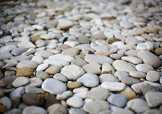 포토 JPG 해외이미지 모양 디자인 지구 바다 패턴 자연 조류 표면 추상 사람없음 장식 빛 컬러풀 수중 회색 조약돌 흰색 오픈 원형 매끈함 작음 큼 시리얼 질감 크로아티아 내추럴 고립 해외포토 도형 동물 유럽 음식 컬러 무늬 돌_바위 감각 크기 생태계 파일형식 이미지허브
