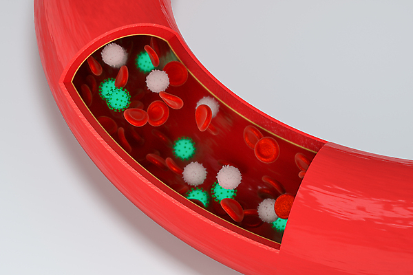 JPG 해외이미지 의학 사람없음 3D 흰색 바이러스 혈관 적혈구 백혈구 전염병 코로나바이러스 델타변이바이러스 오미크론 해외포토 포토 컬러 장기_의학 질병 디지털합성 혈구 파일형식 이미지허브