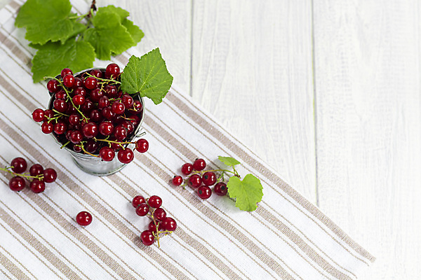 포토 JPG 해외이미지 나무 식물 그릇 계절 열매 음료 음식 줄기 백그라운드 잎 과일 자연 건강 요리 사람없음 빨간색 주스 추위 수확 나뭇가지 신선 맛 숲 잼 설탕 자르기 다발 굽기 수집 유기농 시골집 젤리 이익 내추럴 건포도 해외포토 식기 웰빙 컬러 컨셉 농업 모션 포도 디저트 주택 소스_음식 구이 생태계 건과일 파일형식 이미지허브