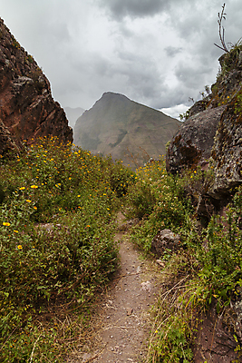 포토 JPG 해외이미지 구름 공원 꽃 여행 잎 자국 자연 하늘 날씨 산 파노라마 풍경 경사 사람없음 햇빛 계곡 트래킹 하이킹 추위 안개 시골 남아메리카 정상 큼 고도 언덕 신성 지역 슬로프 고고학 땅바닥 절정 페루 폭풍우 해외포토 자연요소 식물 공공시설 교육 레저 스키장 바닥 촬영기법 아메리카 태양 비_날씨 크기 자연재해 생태계 파일형식 이미지허브