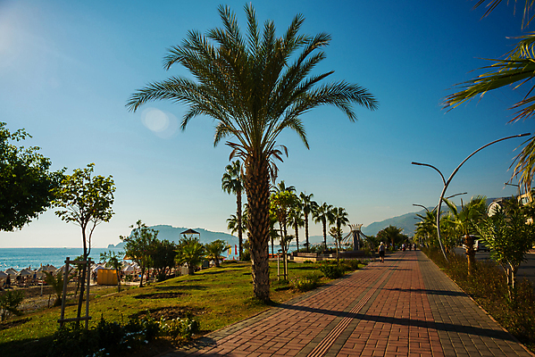 포토 JPG 해외이미지 나무 구름 모래 바다 여행 자동차 자연 하늘 휴가 산 따뜻함 안테나 풍경 사람없음 야외 초록색 물 여름 파란색 태양 맑음 도시 만 지중해 언덕 휴양지 리프트 칠면조 석호 파라다이스 해외포토 자연요소 식물 계절 육상교통 컬러 통신 조류 날씨 장소 생태계 파일형식 이미지허브