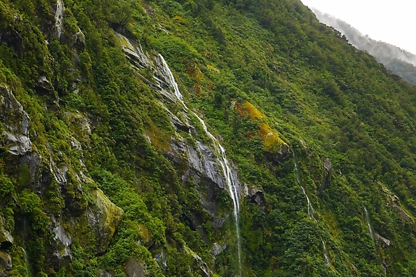 포토 JPG 해외이미지 나무 식물 공원 여행 잎 자연 하늘 풍경 사람없음 야외 초록색 물 평화 환경 침묵 봄 폭포 젖음 흐름 안개 가을 신선 황무지 떨어짐 숲 장면 내추럴 숨기 해외포토 자연요소 계절 공공시설 컬러 컨셉 모션 날씨 소리 생태계 파일형식 이미지허브