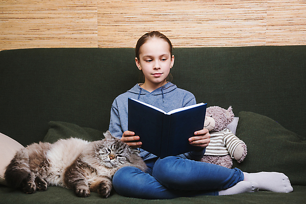 포토 JPG 해외이미지 1 라이프스타일 여학생 교육 어린이 곰 동화 주택 자물쇠 실내 이야기 한명 소녀 10대 책 반려동물 스터디 소파 장난감 공책 고양이 방 집중 읽기 문학 혼자 해외포토 동물 학생 여자 컨셉 의자 포유류 모션 청소년 문구용품 사람 내부 건물 생활 학습 파일형식 이미지허브