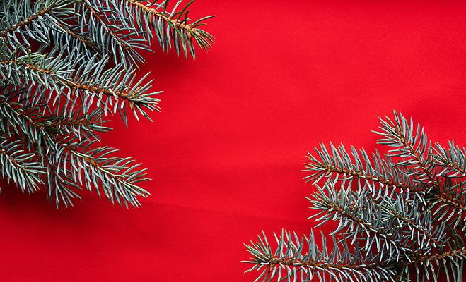 포토 JPG 해외이미지 전통 디자인 배너 계절 행복 백그라운드 컨셉 크리스마스 겨울 자연 벽지 추상 휴가 새로움 새해 아이디어 사람없음 장식 빨간색 유행 수확 흰색 나뭇가지 시골 인사 은색 12월 연도 심볼 질감 복고 솔방울 원뿔 1월 고립 노엘 가문비나무 카피스페이스 미니멀 해외포토 도형 나무 기념일 감정 컬러 무늬 농업 공백 예절 날짜 생태계 파일형식 이미지허브